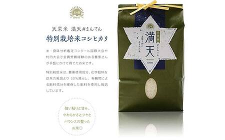 【先行予約】「満天」食べ比べギフト各2kg(ゆうだい21・特別栽培米 コシヒカリ) 白米 精米 米 コメ 天栄米 天栄村 ギフト 贈答 プレゼント F21T-261