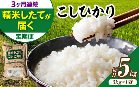 【全3回定期便】 米 盆地そだちこしひかり 5kg[APBM029]米