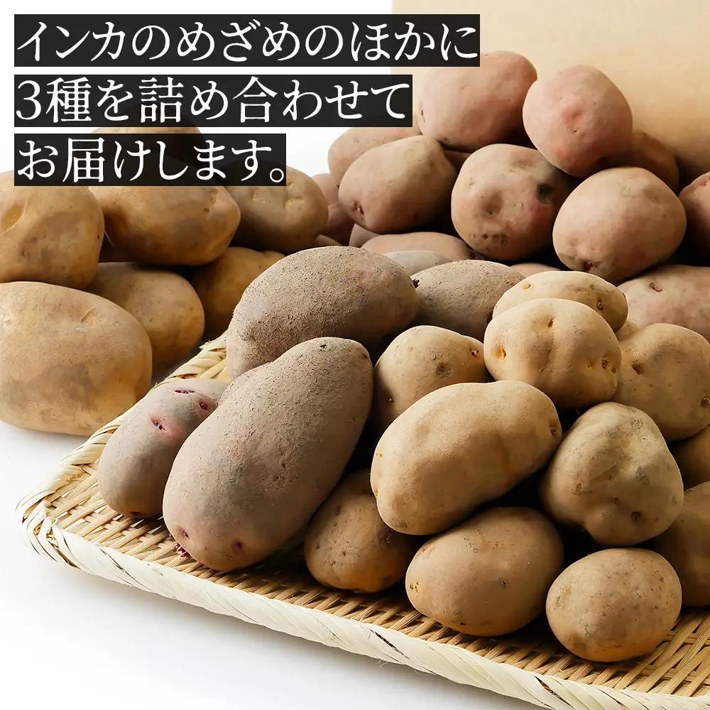 2026年産 先行予約 北海道産 インカのめざめ その他3種 じゃがいも 計10kg（2.5kg×4種） 上士幌町加藤農場 インカの目覚め 馬鈴薯 芋 イモ 野菜 詰め合わせ ◆2026年11月配送予