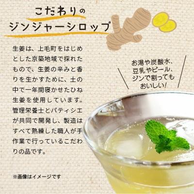 ふるさと納税 上毛町 【上毛町産ブルーベリー&レモン使用】ジンジャーシロップ2本セット |  | 02