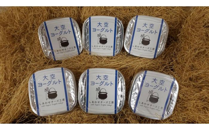大空ヨーグルト 400g×6個《足寄町》【NPO法人あしょろ観光協会】ヨーグルト 乳製品 牛乳 乳酸菌 免疫力 美味しい 高評価 おすすめ ギフト 足寄町産 北海道産 道産 あしょろ 北海道 [BEAE005]