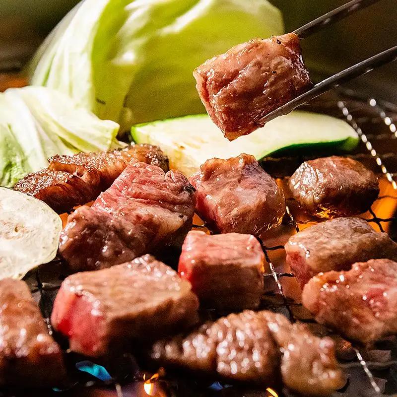 宮崎和牛  齋藤牛サイコロステーキ600g 黒毛和牛 赤身肉主体  訳あり 牛肉 ステーキ サイトーファームブランド＜5-12a＞