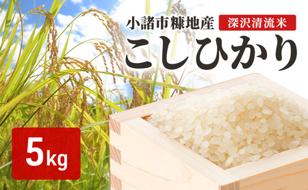 こしひかり 深沢清流米 精米 5kg こしひかり