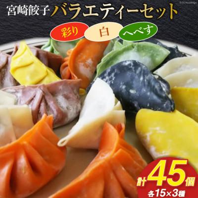 ふるさと納税 日向市 宮崎餃子 バラエティーセット 彩り・白・へべす 各15個 計45個