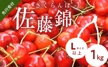 【先行予約2026年7月上旬より発送】余市の砂川果樹園が贈る もぎたて直送さくらんぼ 佐藤錦 1kg箱_Y033-0038