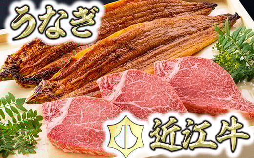 
            近江牛 ヒレ ステーキ 390g ( 130g × 3枚 ) ＆ 国産 うなぎ 蒲焼 2尾 セット【D020W】 ( 近江牛 ステーキ すてーき うなぎ 鰻 ウナギ 牛肉 国産 ブランド 和牛 日本三大和牛 絶品 高級 極上 特選 大人気 ギフト 近江牛 リピート多数 おすすめ ランキング 限定 高評価 黒毛和牛 オススメ )
          