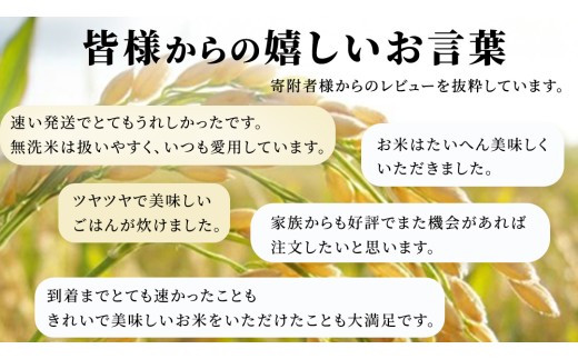 ≪新米≫【無洗米】コシヒカリ ホタル米 20kg 洗わず炊ける！令和8年産 スピード発送 スピード出荷 最短3～7営業日出荷 即納 産地直送 一人暮らし 単身赴任 キャンプ アウトドア 茨城県 城里町