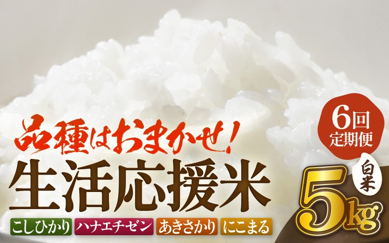 
                  【先行予約】定期便 ≪6ヶ月連続お届け≫  令和8年産 生活応援米5kg × 6回（合計30kg）福井県越前町産【白米】【2026年10月中旬以降順次発送】【お米 コメ kome 5キロ  白米  家庭用】 [e81-e001_01]
                