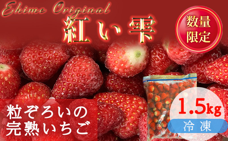 
            【2025年3月から発送】 愛媛県オリジナル品種 紅い雫の冷凍イチゴ 1.5kg いちご 冷凍 甘い苺 イチゴ 苺 ギフト ふるさと納税イチゴ アイスクリーム いちご ジャム スムージー ヨーグルト ストロベリー イチゴ 冷凍いちご 新鮮 果実 果汁  いちご園 すとろべりー 渡辺農園のイチゴ プレゼント 贈答 ふるさと納税苺 数量限定 お菓子作り 完熟いちご 愛媛県オリジナル品種の苺 冷凍苺
          