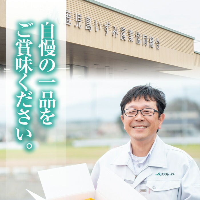 ＜2025年3月中旬以降順次発送予定＞AL規格の鹿児島県産グリーンピース(実えんどう)(計2kg) 国産 野菜 エンドウ 豆 セット 詰合せ 詰め合わせ 春 野菜 旬【鹿児島いずみ農業協同組合】a-1