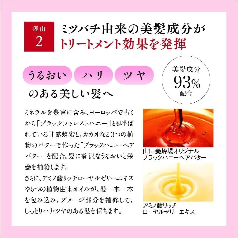 RJヘアカラートリートメント ナチュラルブラック 210g   【006-a120】【山田養蜂場】