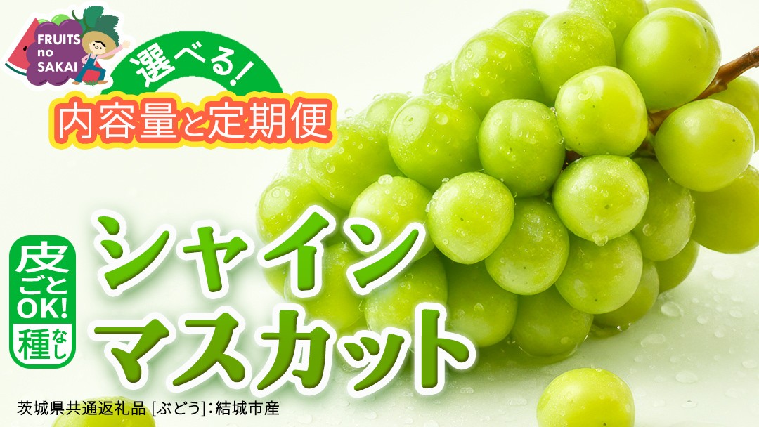 
                  ＼選べる内容量・発送方法／ シャインマスカット 約1.3kg ～ 5kg （約2房～12房）単品（1回）・定期便（3回・6回）　【定期2026年8月、単品9月より発送開始】（茨城県共通返礼品 [ぶどう]：結城市産） 葡萄 マスカット 旬 お取り寄せ フルーツ 種なし 皮ごと 甘い デザート
                