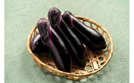 【予約受付】【期間限定】 焼いてトロける！三浦農園のトロなす1kg 栽培期間中農薬・化学肥料不使用 ／Fms-15 農産物 新鮮 焼きナス 野菜 大量 