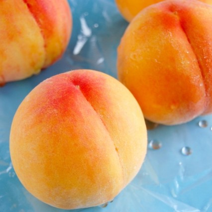 【ふるさと納税】 南信州産 黄桃 約3kg 丸中中根園 | 果物 くだもの フルーツ 柿 桃 もも 黄桃 ジューシー 長野県 信州 南信州 飯田市 H09