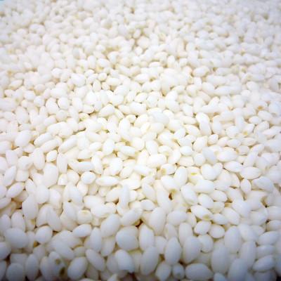 ふるさと納税 北見市 北海道産　きたゆきもち　精白米　5kg |  | 01