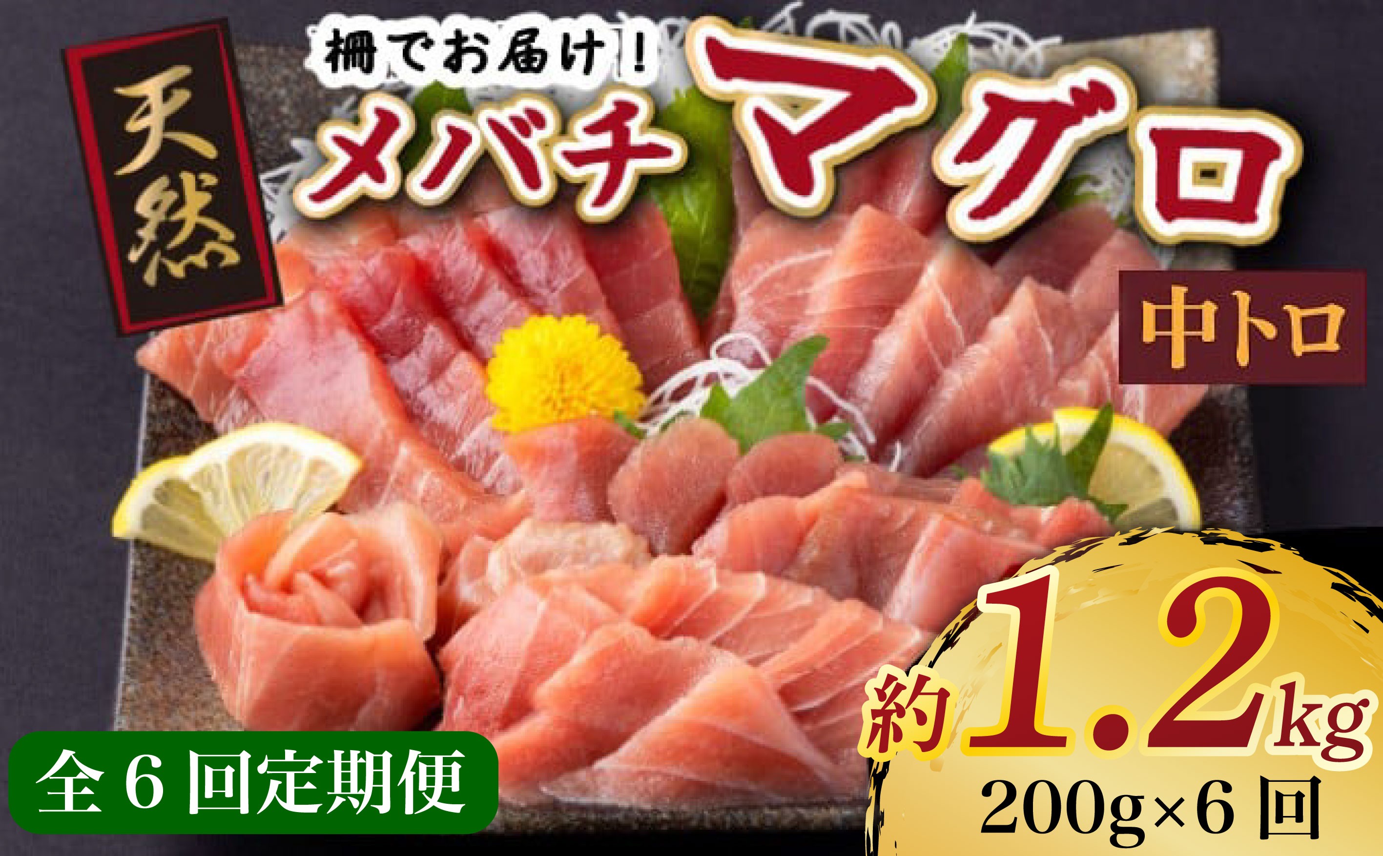 
            【 6回定期便 】 天然メバチマグロ 【 中トロ 】200ｇ（柵） メバチマグロ めばちまぐろ めばち メバチ まぐろ マグロ 鮪 サク 柵 中トロ 天然 天然まぐろ 天然マグロ 刺身 お刺身 食べ比べ 海鮮丼 丼 魚 さかな 新鮮 高知 室戸 冷凍 小分け 海鮮
          
