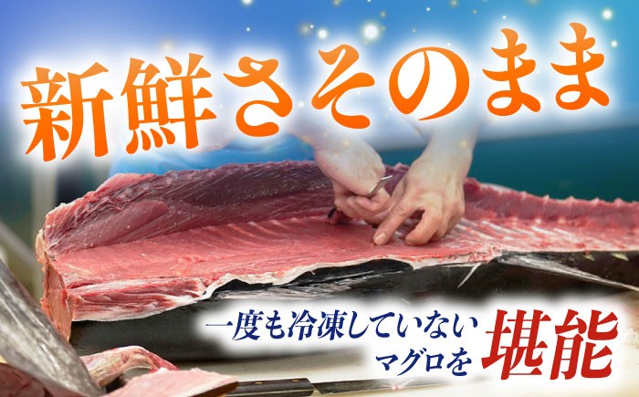 五島列島産 養殖 生本かみマグロ 赤身 300g / マグロ まぐろ 鮪 刺身 ブロック