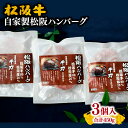 【ふるさと納税】自家製松阪ハンバーグ合計450g（150g×3個入り）松阪牛 松坂牛 牛肉 ブランド牛 高級 和牛 日本三大和牛 国産 霜降り 合い挽き 合挽 あいびき 合びき 惣菜 おかず 冷凍 小分け 松阪豚 ミンチ 手捏ね 手こね 手作り 手製 冷凍