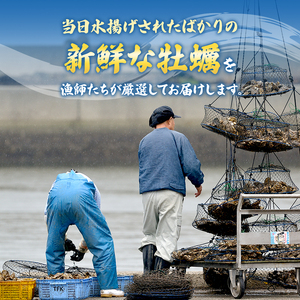 牡蠣 生食用 お試し 坂越かき 殻付き 10～12個 成林水産 [ 生牡蠣 真牡蠣 かき カキ 一人暮し 冬牡蠣 ] 魚貝類 名水百選 天然記念物 生島樹林 栄養 海 ミルク 濃厚 旨味 厳選 新鮮 