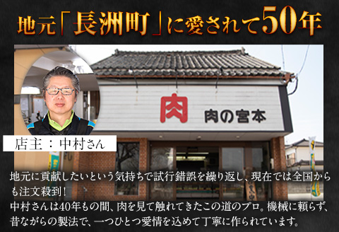 馬肉入り手作りハンバーグ(約150g×15個) 馬肉ハンバーグ　肉の宮本《45日以内に出荷予定(土日祝除く)》---sn_fmiyahamburg_45d_23_16000_15i---