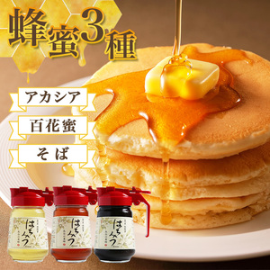 国産　はちみつ　百花　アカシア　そば　300gワンタッチボトル×3本セット　計900g／長谷川養蜂　希少　蜂蜜　三重県　南伊勢町　伊勢志摩