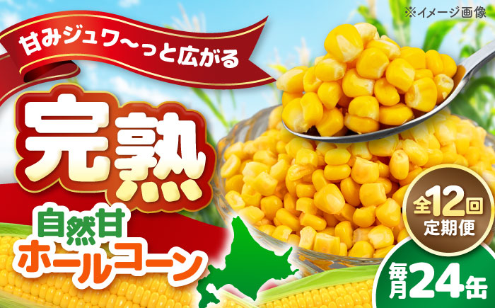 
            【全12回定期便】【北海道産】 自然甘ホールコーン 24缶（C7号缶）《喜茂別町》【きもべつ観光協会】 コーン コーン缶 とうもろこし トウモロコシ 北海道 常温 常温配送 [AJAG026]
          