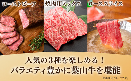 【全3回定期便】葉山牛 食べ比べ定期便(ローストビーフ・焼肉用ミックス・ローススライス)／牛肉 肉 焼肉 神奈川県 葉山町【葉山牛ステーキレストラン 角車】[ASBD021]