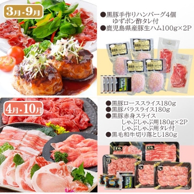 定期便(6回配送)　鹿児島県産うなぎ・黒毛和牛・黒豚・海の幸　HH5-0001【配送不可地域：離島】