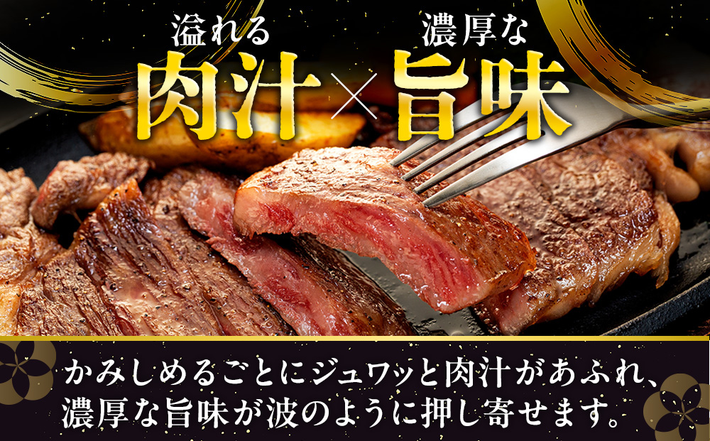 流氷牛ステーキ肉 250g （サーロイン）| 肉 和牛 牛肉 黒毛和牛 希少 サーロイン ステーキ 老舗 今半 霜降り 詰合せ 詰め合わせ 送料無料
