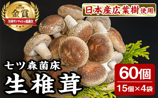 
                  七ツ森菌床椎茸 15個×4袋 肉厚 生椎茸 しいたけ シイタケ きのこ 炊き込みご飯 和食  小分け ステーキ 肉詰め 国産 宮城県産 【農事組合法人七ツ森菌床椎茸生産組合】ta386
                