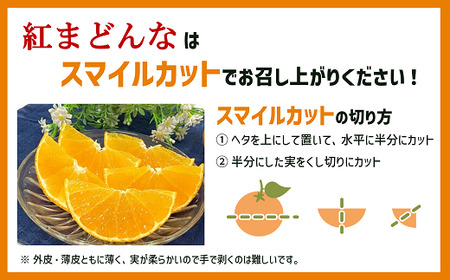 【2026年先行予約】紅まどんな 1.7kg (5～10個) 愛媛みかん 愛果28号 化粧箱入り 【11月下旬より順次発送予定】 紅マドンナ まどんな マドンナ みかん ミカン 蜜柑 果物 くだもの 