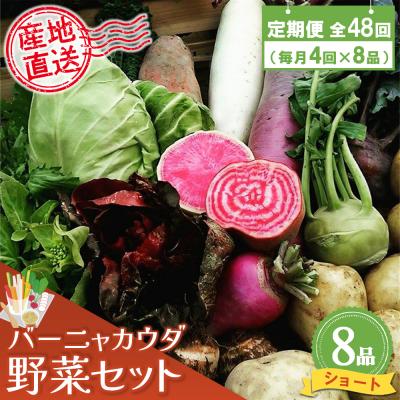 ふるさと納税 神埼市 年間定期便48回 バーニャカウダ野菜セットショート 8品 (H078116)