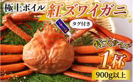 【先行予約】タグ付き極上ボイル紅ズワイガニ 冷蔵配送 川村水産※発送前に在宅確認の電話連絡をいたします！【25年度9月下旬以降順次配送】【紅ズワイガニ カニ ズワイガニ 紅ずわいがに かに 紅ズワイガニ カニ ズワイガニ 紅ずわいがに かに 紅ズワイガニ カニ ズワイガニ 紅ずわいがに かに 紅ズワイガニ カニ ズワイガニ 紅ずわいがに 冷蔵 チルド 北陸 滑川 ブランド蟹】