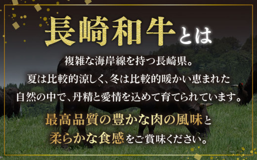 ＜先行予約＞【お肉屋さんとアスパラ農家のコラボ商品！】長崎和牛 ヒレブロック 約500g、東彼杵町産アスパラガス 600g /  ヒレブロック ヒレ ひれ フィレ 赤身 ヒレ肉 ローストビーフ 人気 