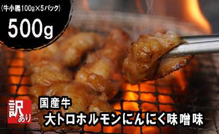 訳あり 国産牛 大トロホルモン にんにく味噌味 500g （100g×5） 大トロ ホルモン 牛ホルモン ホルモン ホルモン ホルモン