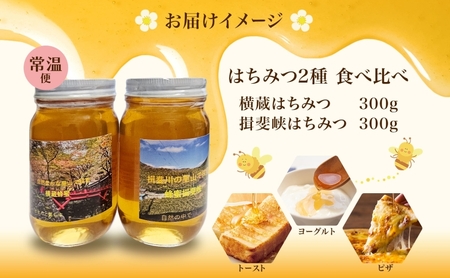 はちみつ 2種 セット 揖斐峡はちみつ 横蔵はちみつ 計600g 各300g 瓶 蜂蜜 ハチミツ 非加熱 天然 100% 百花蜜 純粋 生はちみつ 国産 ハニー お取り寄せ ギフト プレゼント 贈答 