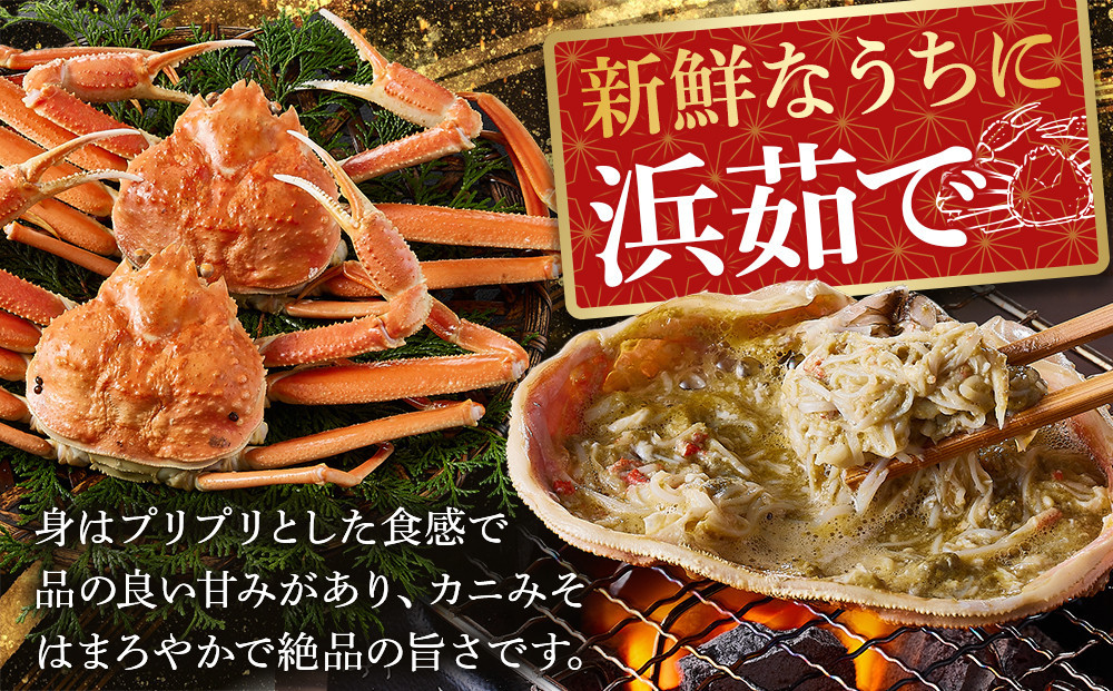 ＜金～日着※指定日不可＞＜11月中旬～3月上旬発送予定＞浜茹松葉ガニ足欠(2枚/計約800g以上)