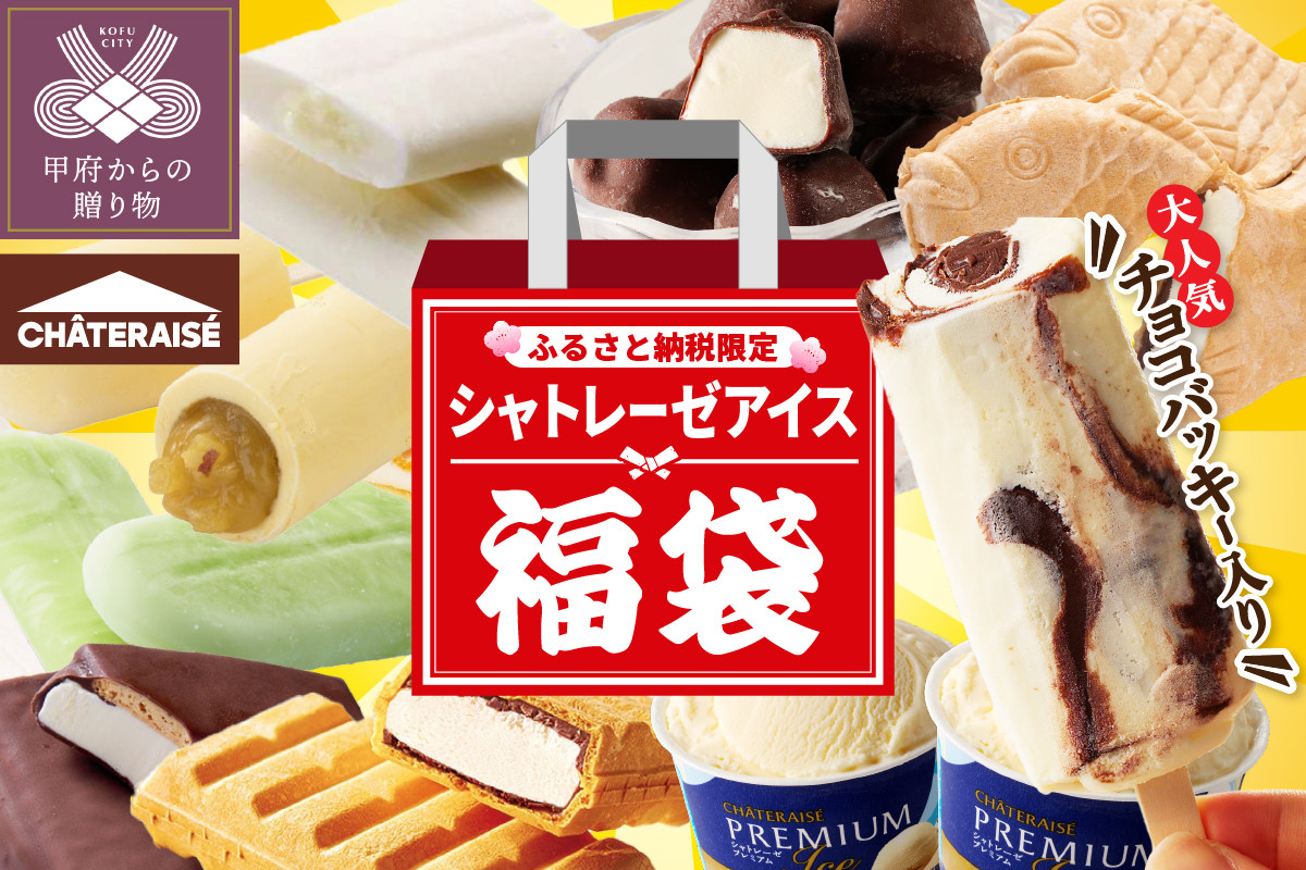 
【ふるさと納税限定】大人気 チョコバッキーが必ず入る!! シャトレーゼ アイス福袋 10種 19個
