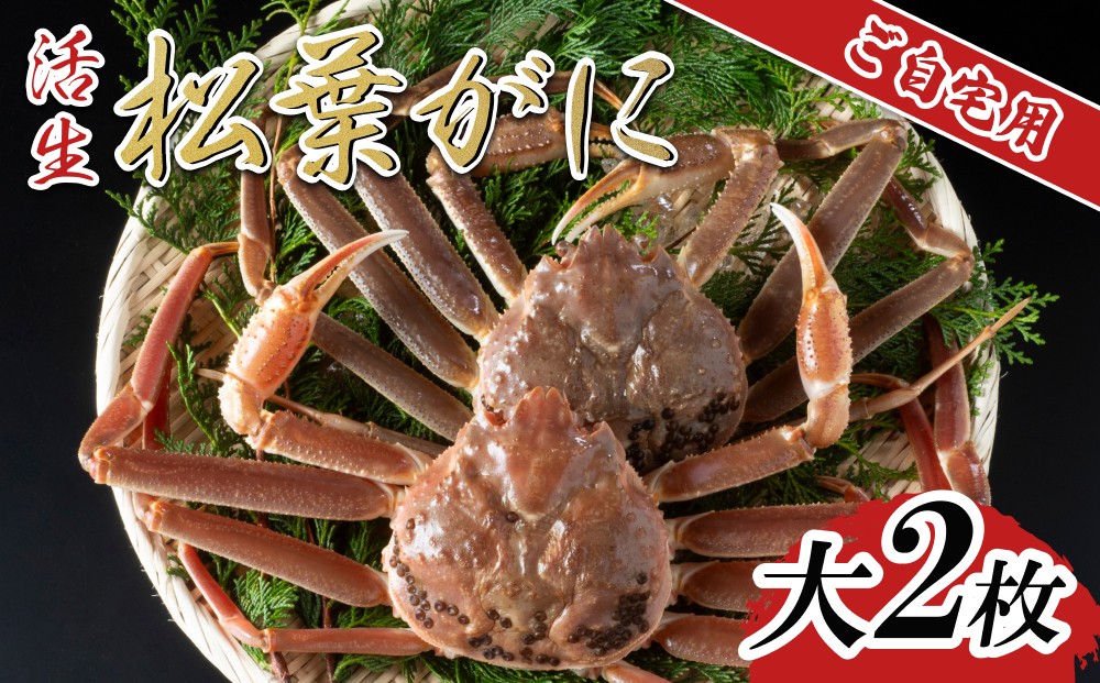 
                  【活生】ご自宅用松葉ガニ 大2枚 2026年11月～順次発送予定｜鳥取 日本海 松葉がに 松葉蟹 かに ズワイガニ【22058】
                