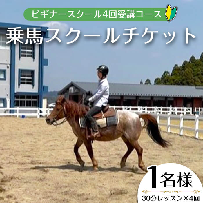 【ふるさと納税】【乗馬スクールチケット】ビギナースクール～30分レッスン×3回、小学1年生以上～(1名様) 体験 体験チケット チケット 乗馬スクール レッスン 乗馬体験 初心者 初心者向け 1名様 非日常 運動不足解消 リラックス【曽於市観光協会】