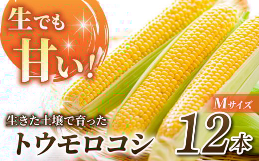 先行予約【里山JAPAN】生でもすごく甘い！生きた土壌で育った『とうもろこし』Mサイズ12本｜２０２５年７月以降発送予定