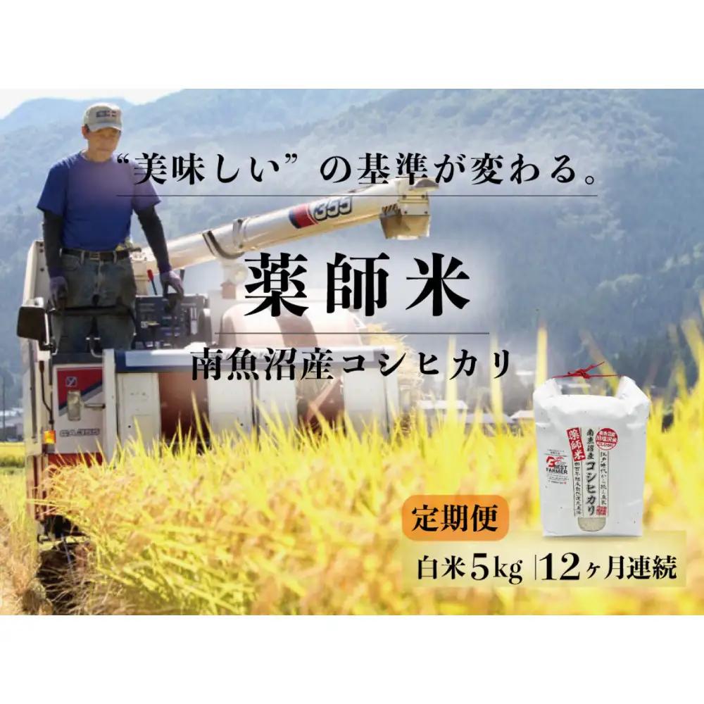 【令和８年新米予約】定期便全12回【南魚沼市食味コンテスト優秀賞】南魚沼産コシヒカリ 白米5kg ｜薬師米｜コシヒカリ