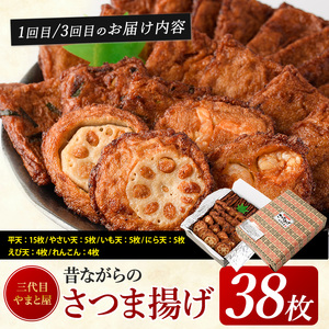 全３回定期便 昔ながらのさつま揚げ＆鰹珍味定期便 やまと屋 IBZ015-001 定期便 定期便 