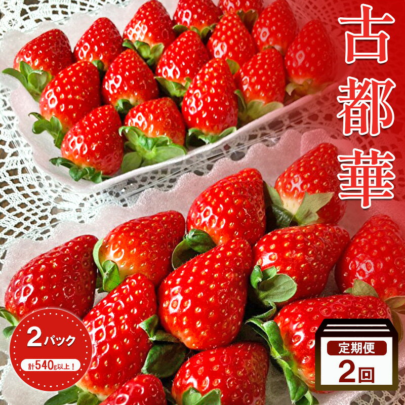 【ふるさと納税】【2026年1月中旬出荷開始】【2回定期】いちご 古都華 約270g × 2パック フルーツ 果物 旬 産地直送 旬のフルーツ 旬の果物 お取り寄せ おやつ デザート 希少 ことか 苺 冷蔵 冷蔵配送 奈良 奈良県　お届け：2026年1月中旬～4月中旬まで