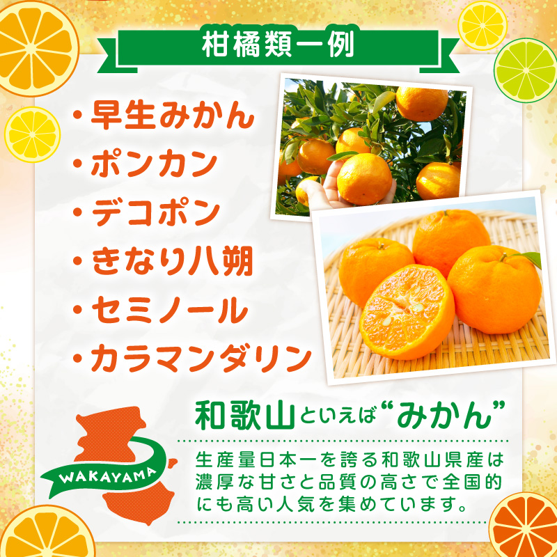【8070】JAわかやま紀州　柑橘勢ぞろい　セット　7回　定期便
