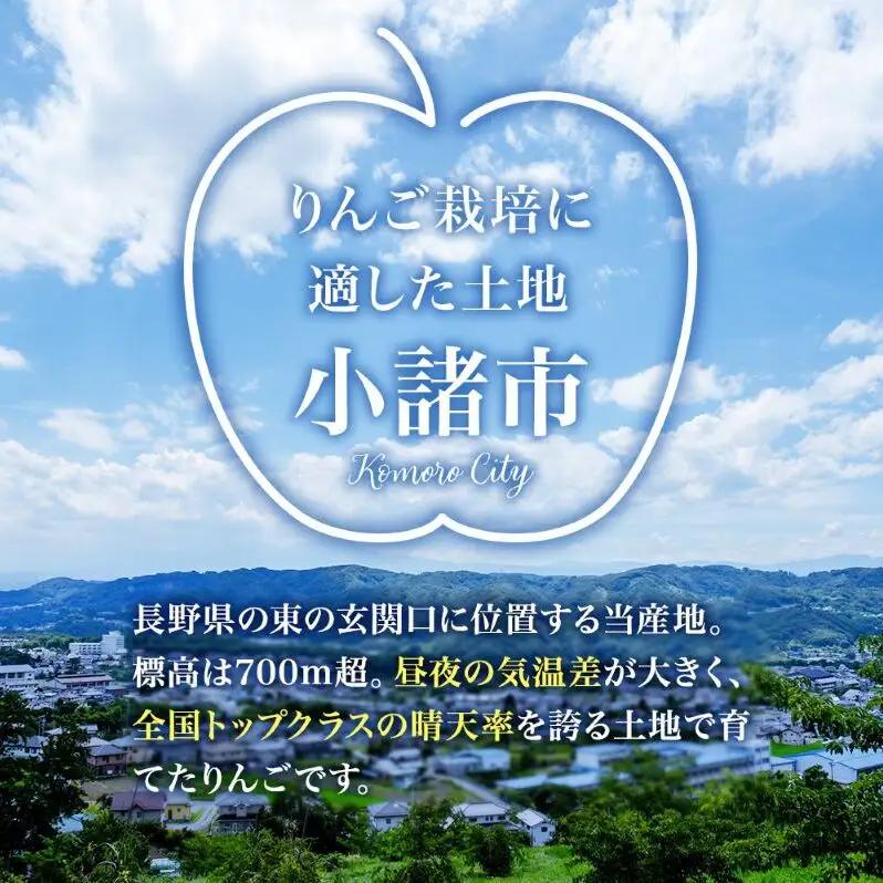 【先行予約】令和8年度産 りんご シナノスイート 秀品 約5kg 12～20玉入 長野県産 果物類 林檎  リンゴ フルーツ 