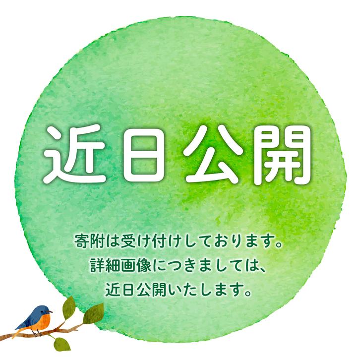 【ふるさと納税】 ＜選べる容量/回数＞博多和牛 カルビ焼肉 約450g～