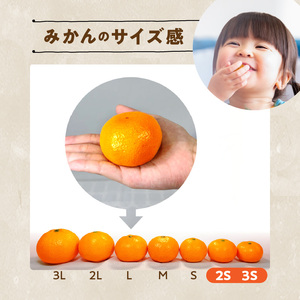 【2026年先行予約】みかん とにかく 小玉 箱込 2.5kg ( 内容量 2.3kg ) 2Sサイズ以下 秀品 優品 混合 有田みかん 和歌山県産 産地直送 【みかんの会】_MK1000