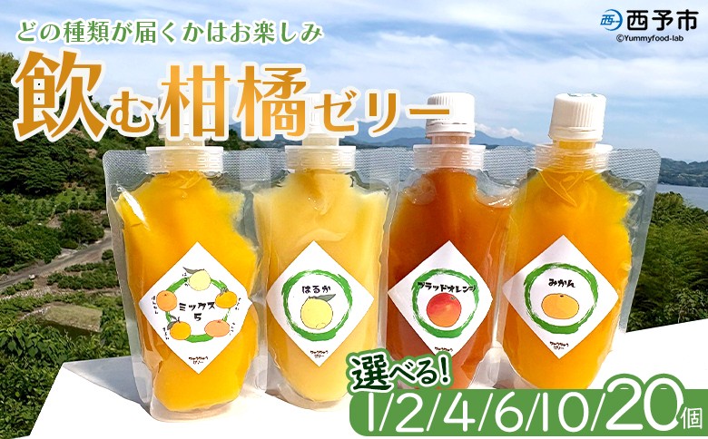 
                  ＜つるんと食感の飲む柑橘ゼリー＞『1か月以内に順次発送予定』選べる 内容量 ゼリー パウチ みかん 蜜柑 デザート スイーツ おやつ のむ ストレート 果汁 100％ 食感 ぷるぷる お楽しみ 渡江から一歩を踏み出す会 愛媛県 西予市 【常温】
                