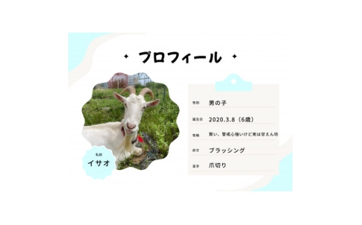 京都府与謝野町で ヤギとのふれあい体験 2名様用【1760902】